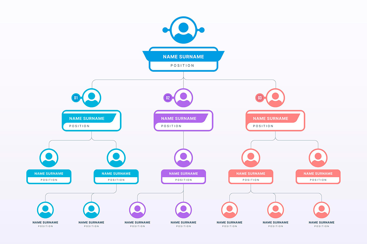 Organogramas